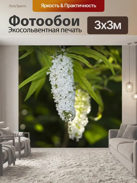 Фотообои Цветы