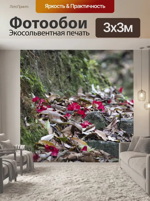 Фотообои Листья