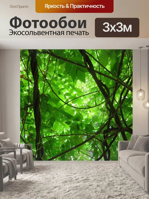 Фотообои Зеленый