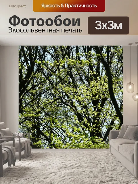 Фотообои Лес