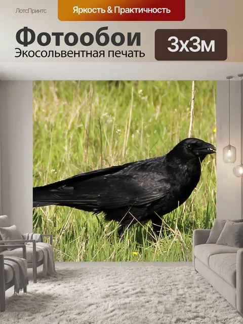 Фотообои Фон