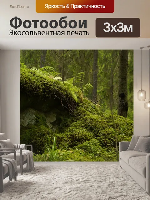 Фотообои Лес