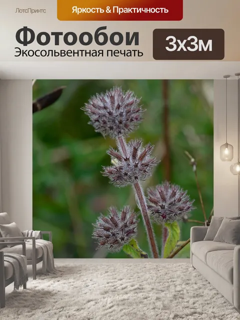 Фотообои Цветы