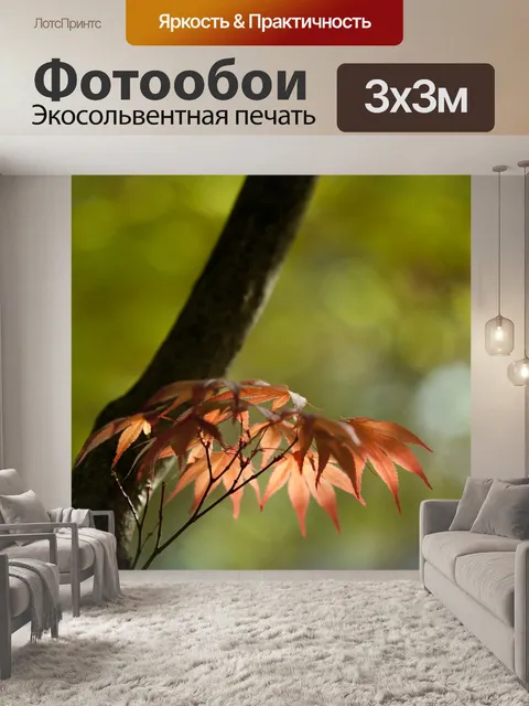 Фотообои Природа