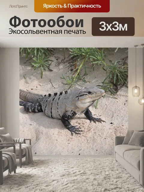 Фотообои Природа