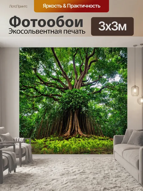 Фотообои лес с экзотическими сясти деревьями, множеством зелени и цветов