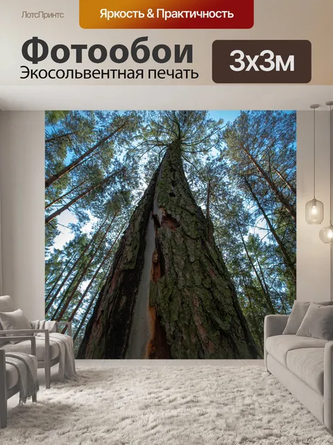 Фотообои Дерево