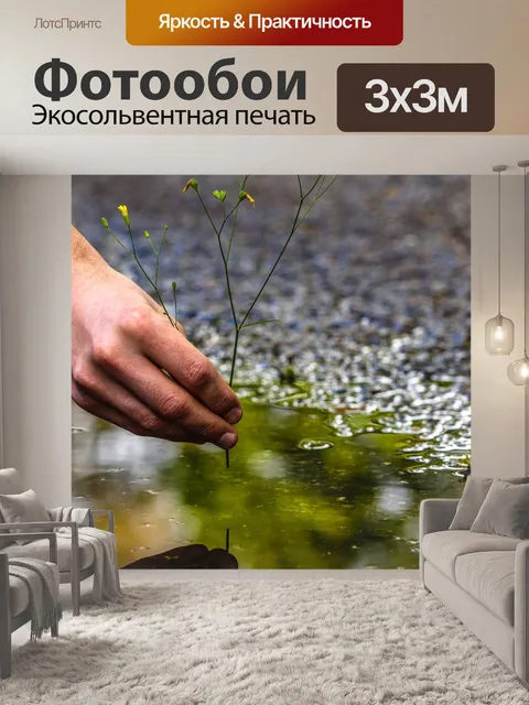 Фотообои Лужа