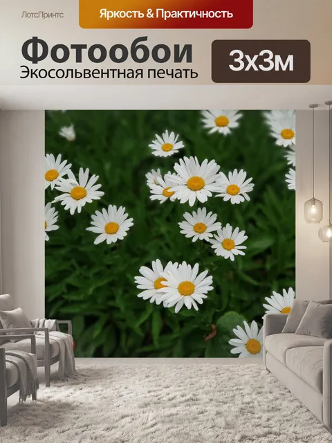 Фотообои Ромашки