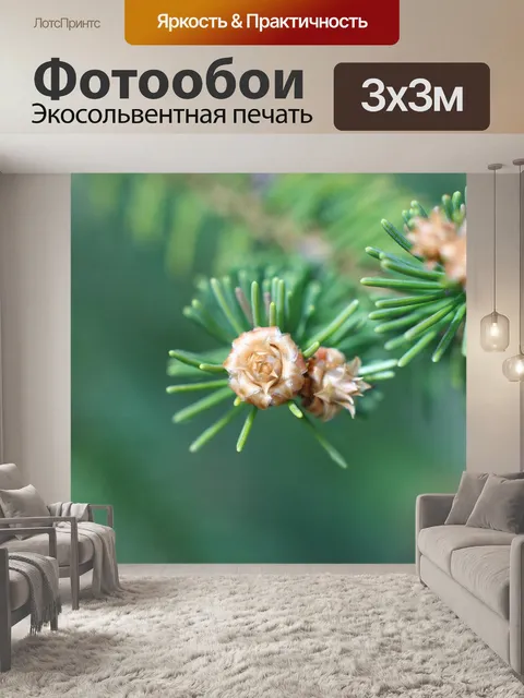 Фотообои Макро
