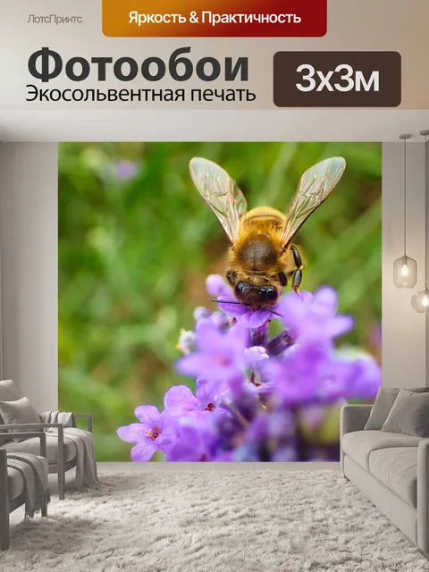 Фотообои Пчела