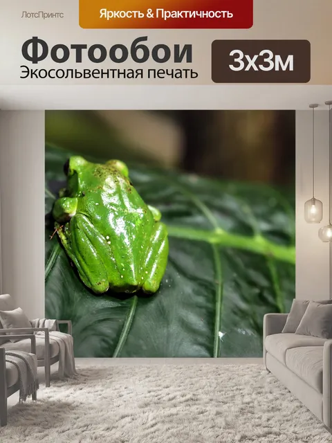 Фотообои Животные