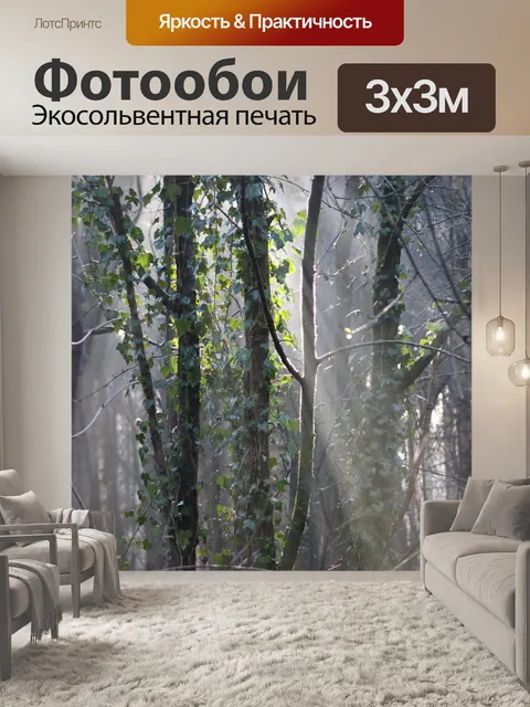 Фотообои Лес
