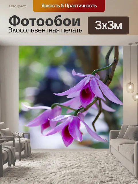 Фотообои Цветы
