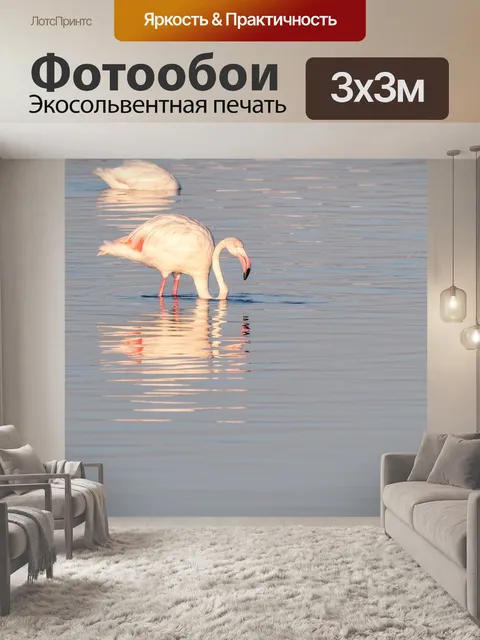 Фотообои Фламинго