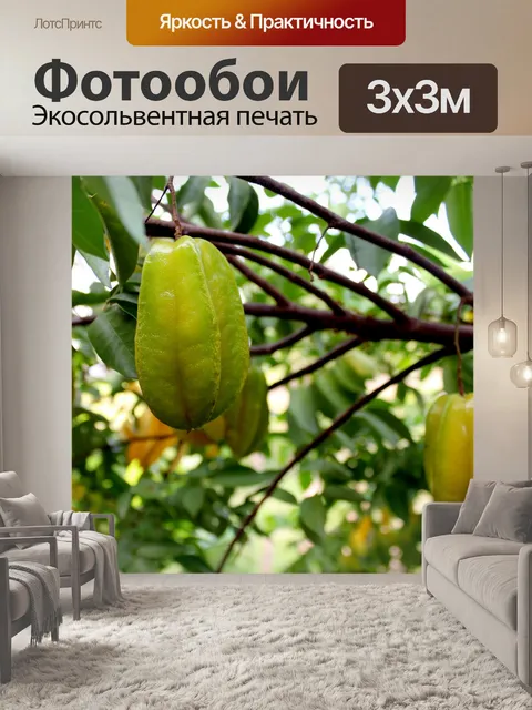Фотообои Фрукты Star Fruit и Star Fruit Apple