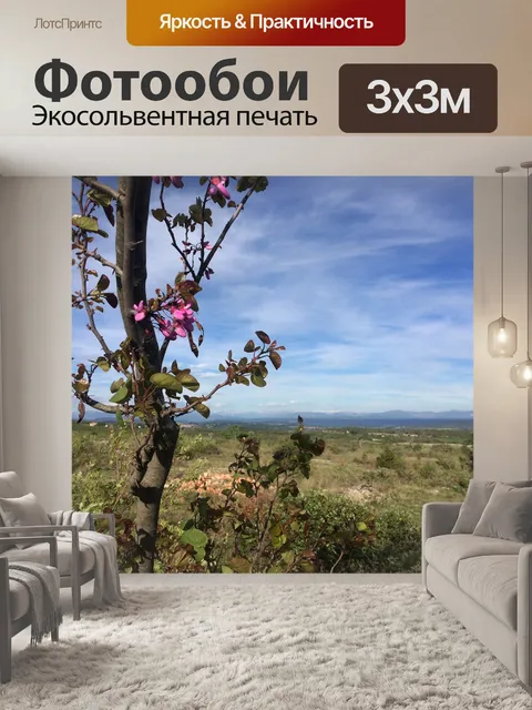 Фотообои Плато