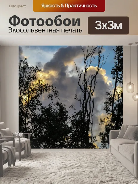 Фотообои Эвкалиптовые деревья