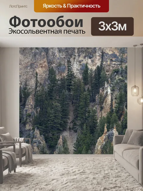 Фотообои лесные деревья в горах