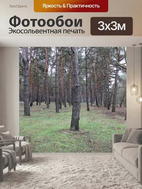 Фотообои Дерево