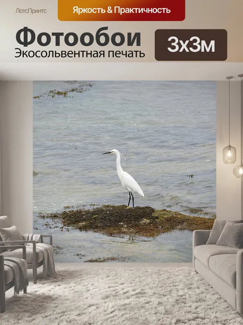 Фотообои Цапля на краю воды