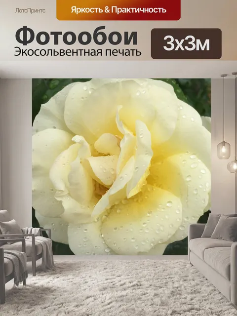 Фотообои Розы