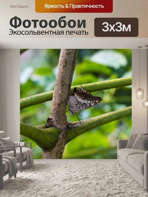 Фотообои Дерево