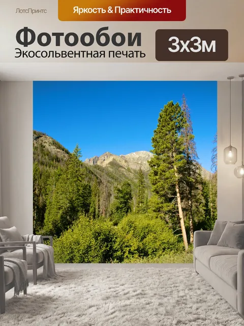 Фотообои Сосны в горах