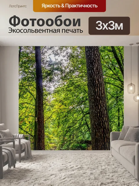Фотообои Лес