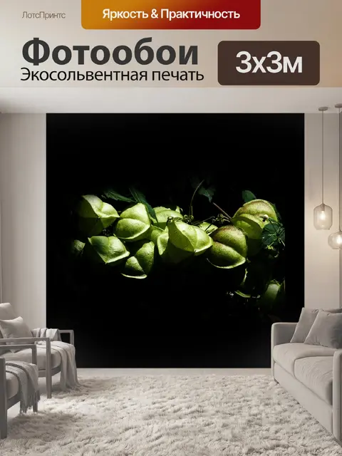 Фотообои Фрукты