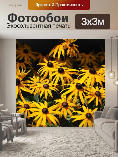 Фотообои Маргаритки