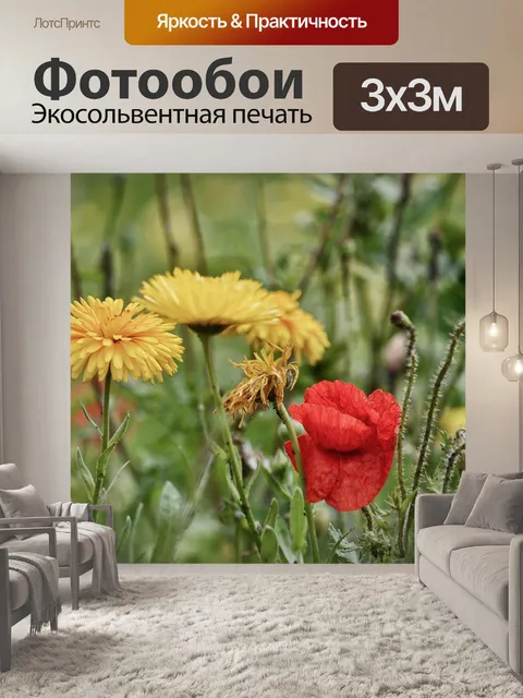 Фотообои Полевые цветы