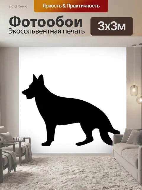Фотообои черная собака