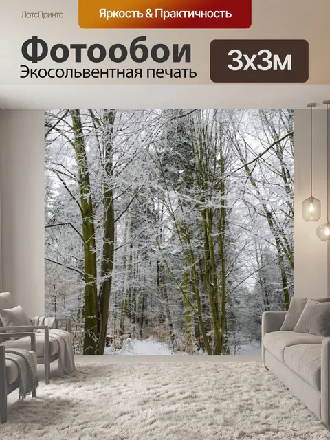 Фотообои Зима Времена года
