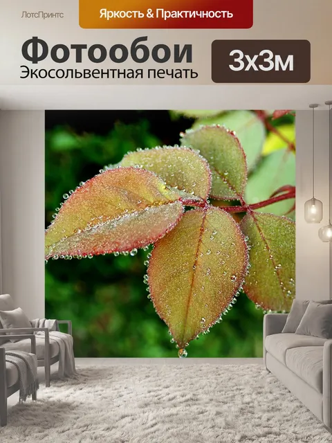 Фотообои Листья
