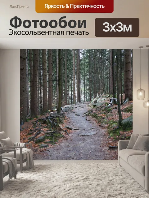 Фотообои Лесная тропа