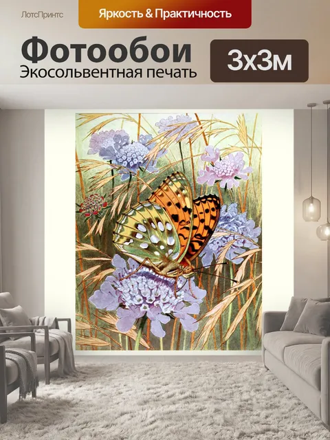 Фотообои Мотылек бабочка винтажное искусство