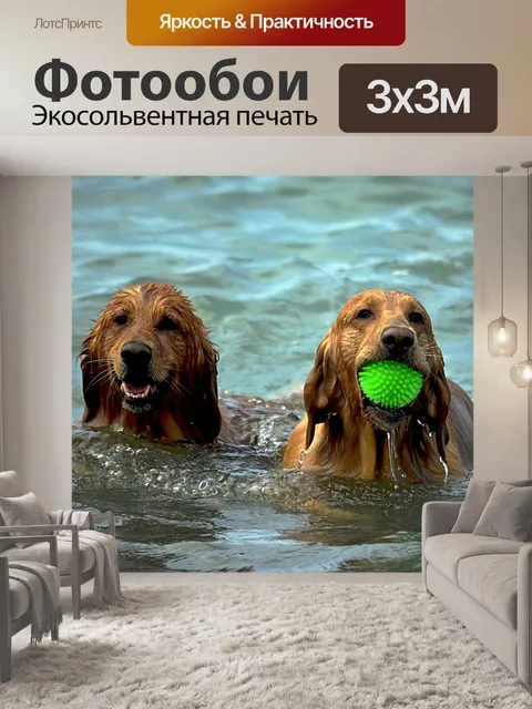 Фотообои Собаки