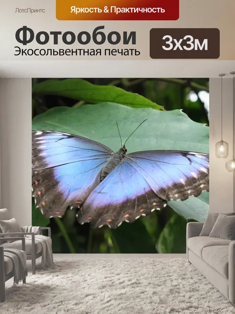 Фотообои Бабочка