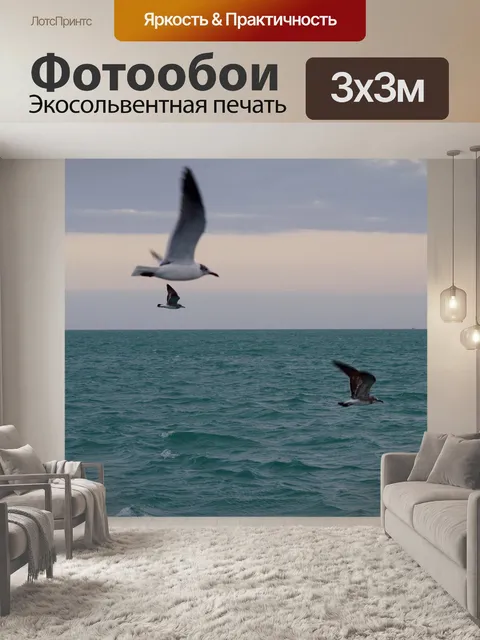 Фотообои Чайки