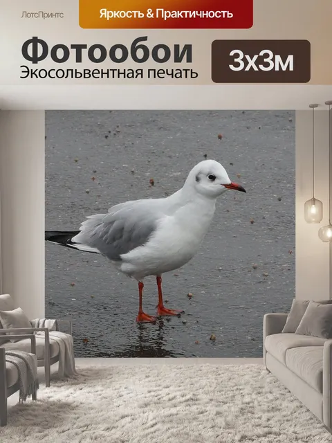 Фотообои Птицы