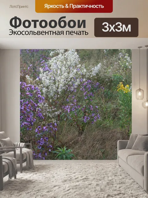 Фотообои Поле астр