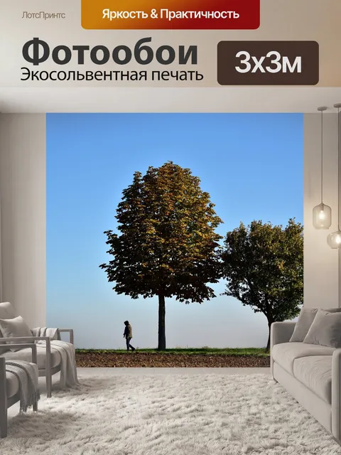 Фотообои В одиночестве