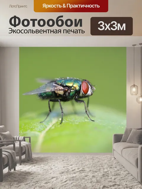 Фотообои Летать