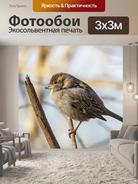 Фотообои Женский воробей