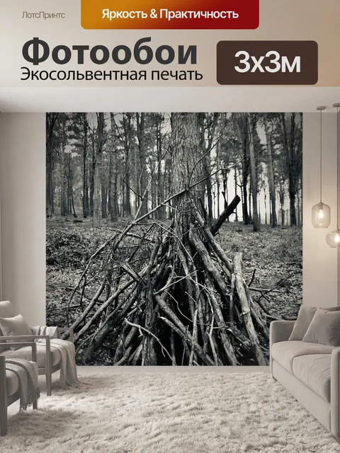 Фотообои Лес