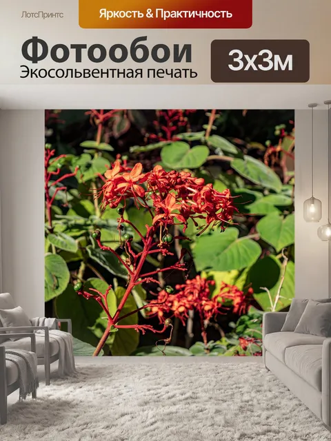 Фотообои Природа