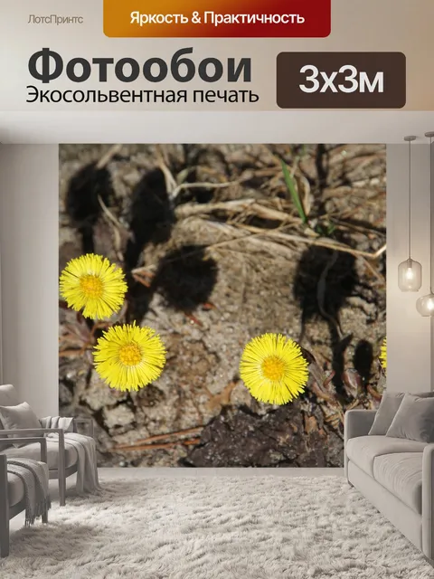 Фотообои Одуванчики