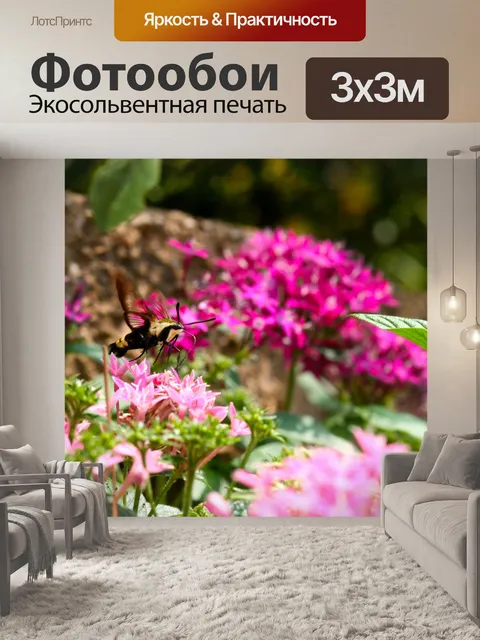 Фотообои Колибри и цветы
