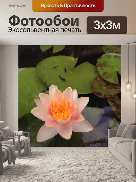 Фотообои Лили